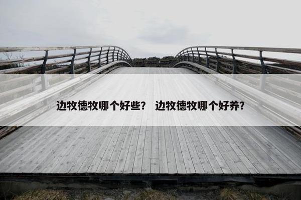 边牧德牧哪个好些？ 边牧德牧哪个好养？