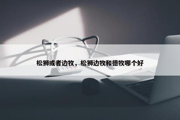 松狮或者边牧，松狮边牧和德牧哪个好