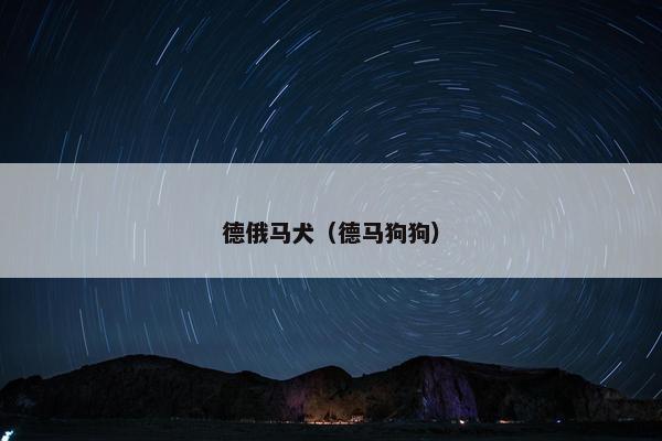 德俄马犬（德马狗狗）