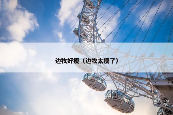 边牧好瘦（边牧太瘦了）