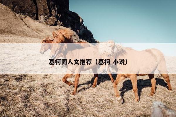 基柯同人文推荐（基柯 小说）