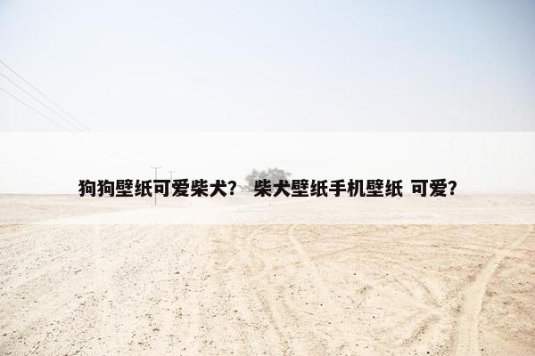 狗狗壁纸可爱柴犬？ 柴犬壁纸手机壁纸 可爱？