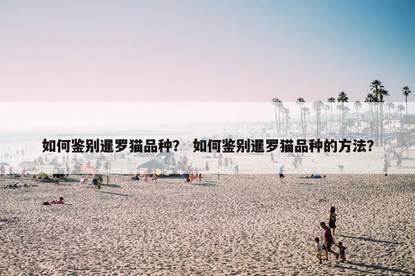 如何鉴别暹罗猫品种？ 如何鉴别暹罗猫品种的方法？