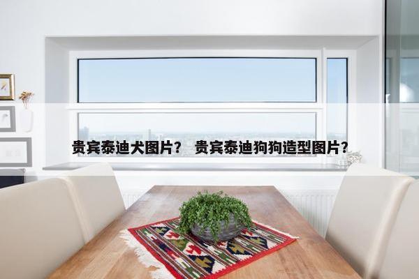 贵宾泰迪犬图片？ 贵宾泰迪狗狗造型图片？