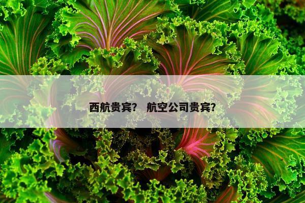 西航贵宾？ 航空公司贵宾？