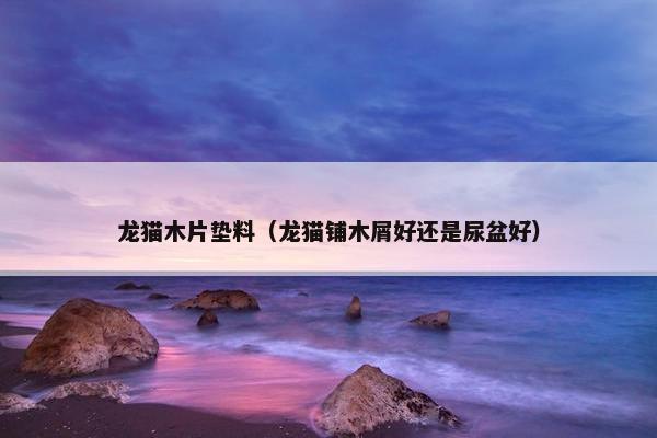 龙猫木片垫料（龙猫铺木屑好还是尿盆好）