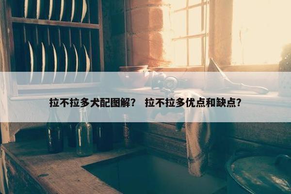 拉不拉多犬配图解？ 拉不拉多优点和缺点？