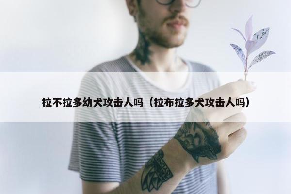 拉不拉多幼犬攻击人吗（拉布拉多犬攻击人吗）