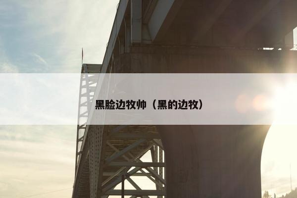 黑脸边牧帅（黑的边牧）