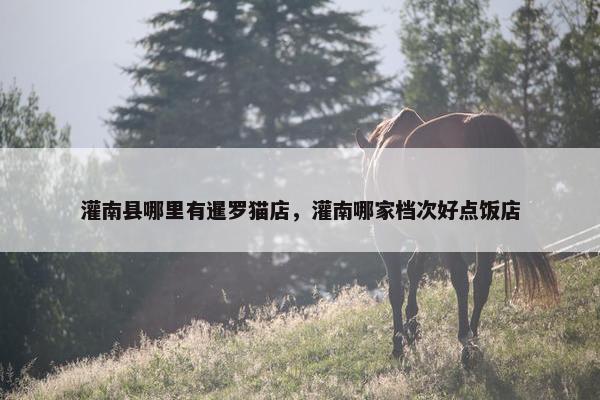 灌南县哪里有暹罗猫店，灌南哪家档次好点饭店