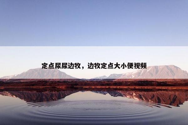 定点尿尿边牧，边牧定点大小便视频