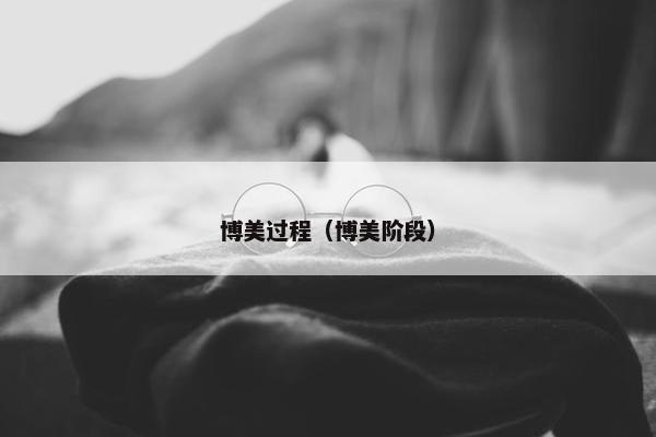 博美过程（博美阶段）