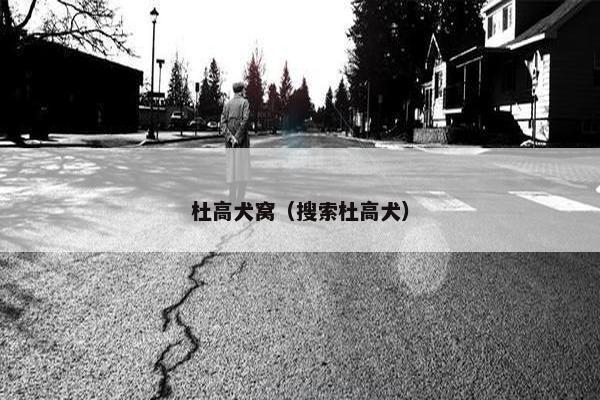 杜高犬窝（搜索杜高犬）