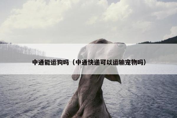 中通能运狗吗（中通快递可以运输宠物吗）