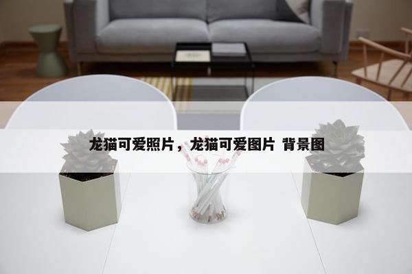 龙猫可爱照片，龙猫可爱图片 背景图