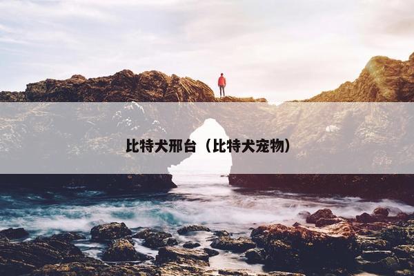 比特犬邢台（比特犬宠物）