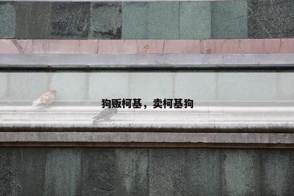 狗贩柯基，卖柯基狗