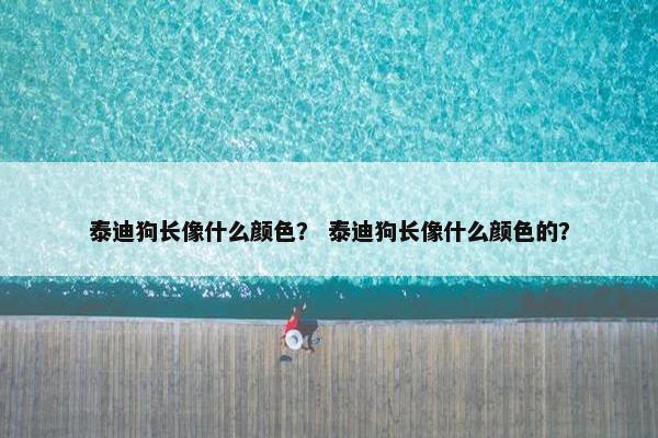 泰迪狗长像什么颜色？ 泰迪狗长像什么颜色的？