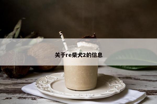 关于re柴犬2的信息