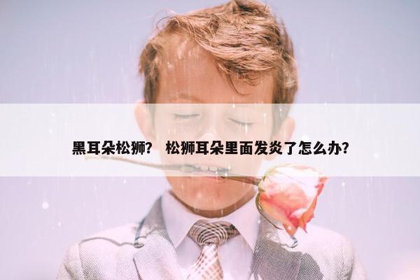 黑耳朵松狮？ 松狮耳朵里面发炎了怎么办？