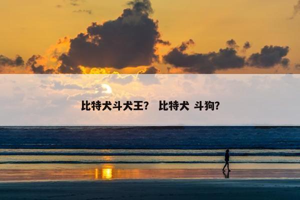 比特犬斗犬王？ 比特犬 斗狗？