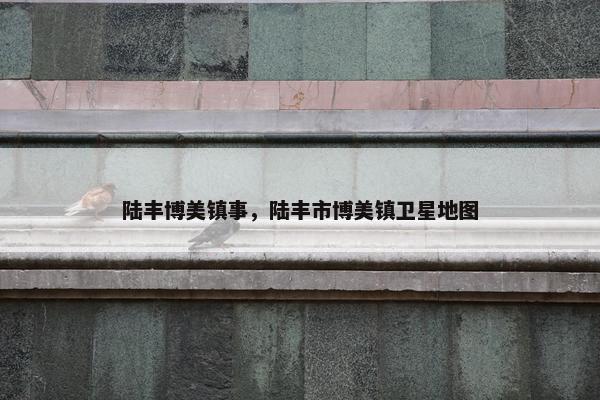 陆丰博美镇事，陆丰市博美镇卫星地图