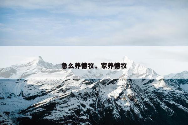 急么养德牧，家养德牧