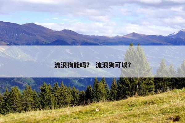 流浪狗能吗？ 流浪狗可以？