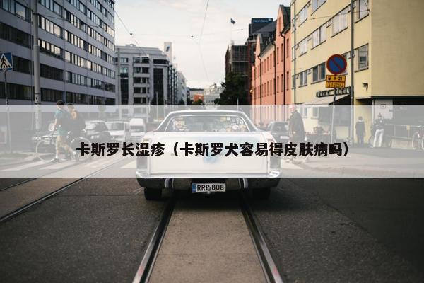 卡斯罗长湿疹（卡斯罗犬容易得皮肤病吗）