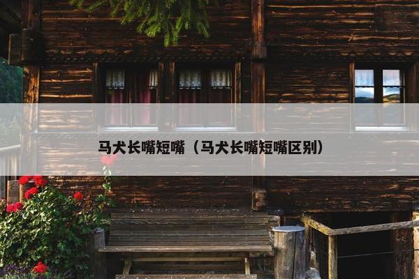 马犬长嘴短嘴（马犬长嘴短嘴区别）