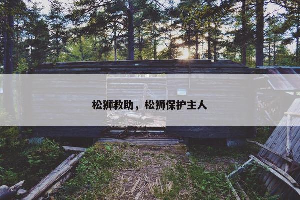 松狮救助，松狮保护主人