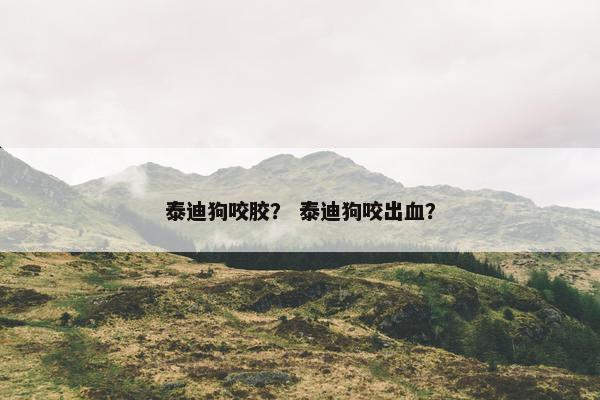 泰迪狗咬胶？ 泰迪狗咬出血？