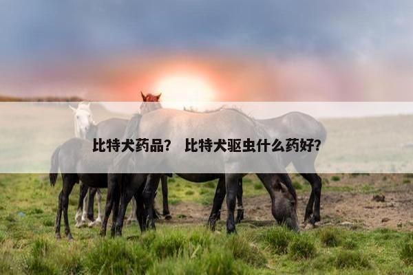 比特犬药品？ 比特犬驱虫什么药好？