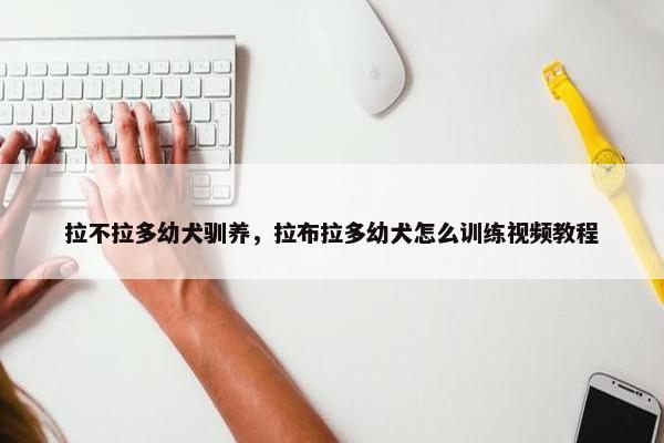 拉不拉多幼犬驯养，拉布拉多幼犬怎么训练视频教程