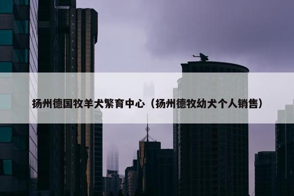 扬州德国牧羊犬繁育中心（扬州德牧幼犬个人销售）