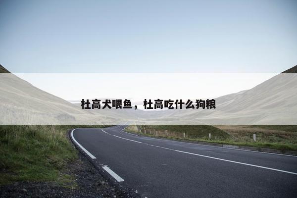 杜高犬喂鱼，杜高吃什么狗粮