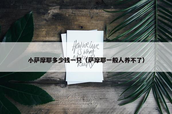 小萨摩耶多少钱一只（萨摩耶一般人养不了）