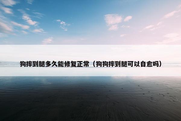 狗摔到腿多久能修复正常（狗狗摔到腿可以自愈吗）