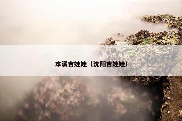 本溪吉娃娃（沈阳吉娃娃）