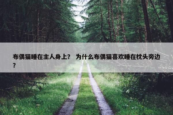 布偶猫睡在主人身上？ 为什么布偶猫喜欢睡在枕头旁边？