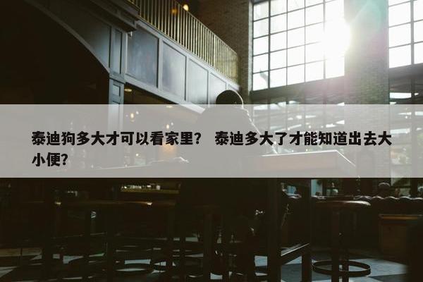泰迪狗多大才可以看家里？ 泰迪多大了才能知道出去大小便？