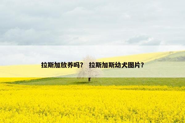 拉斯加放养吗？ 拉斯加斯幼犬图片？