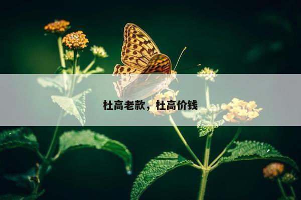 杜高老款，杜高价钱