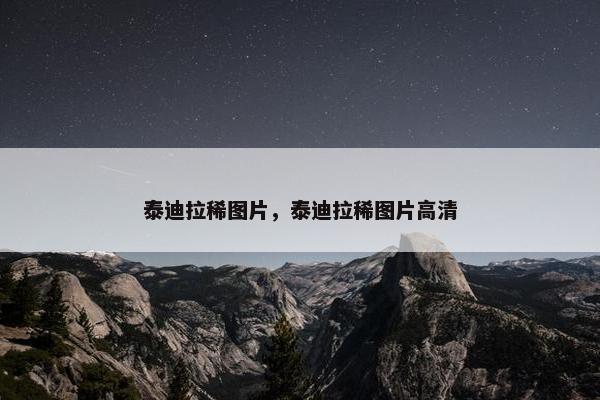 泰迪拉稀图片，泰迪拉稀图片高清