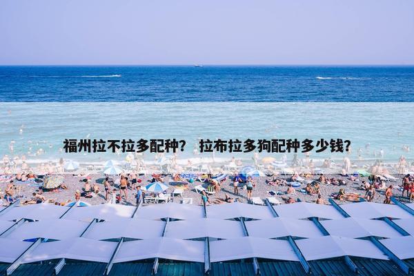 福州拉不拉多配种？ 拉布拉多狗配种多少钱？