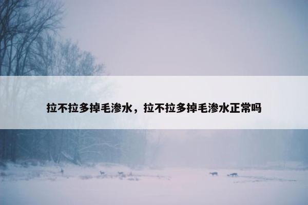 拉不拉多掉毛渗水，拉不拉多掉毛渗水正常吗