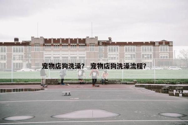 宠物店狗洗澡？ 宠物店狗洗澡流程？