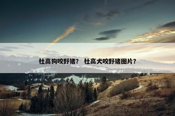 杜高狗咬野猪？ 杜高犬咬野猪图片？