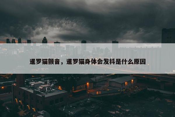 暹罗猫颤音，暹罗猫身体会发抖是什么原因