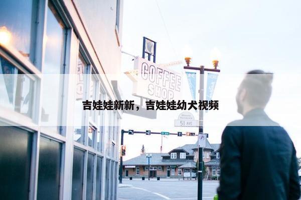 吉娃娃新新，吉娃娃幼犬视频